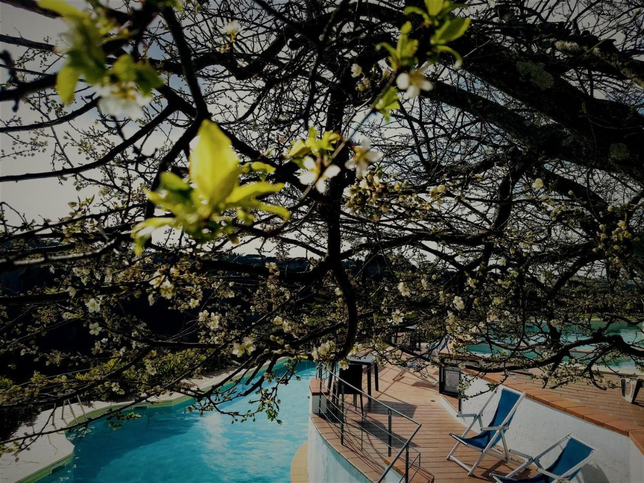 Borgo La Casaccia Apartment มอนตาโยเน ภายนอก รูปภาพ